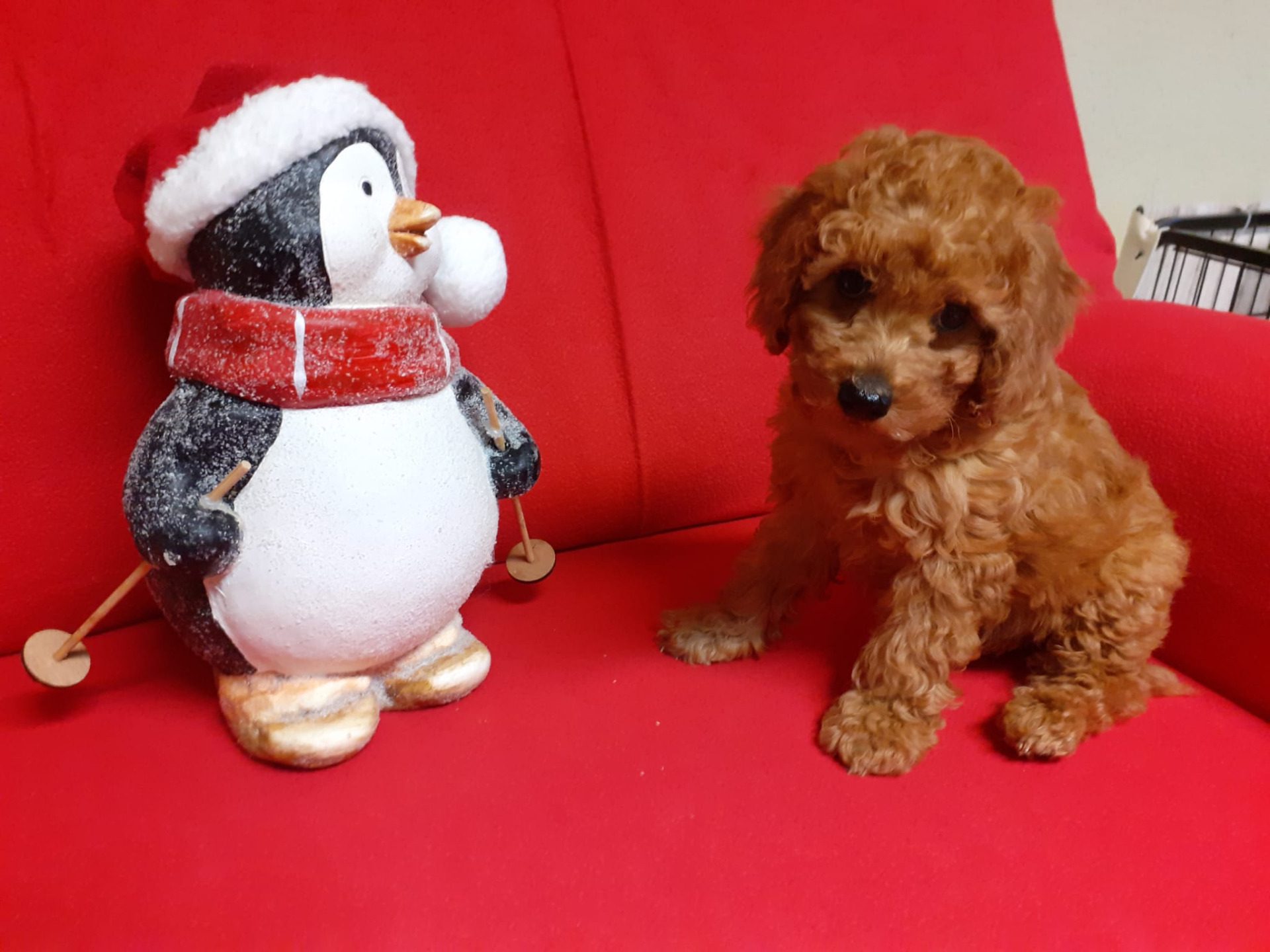 geboren am 16. Oktober